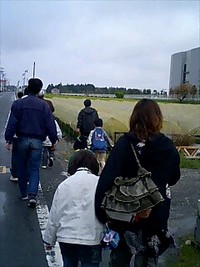 茶畑見学会 2006/04/16 10:50:32