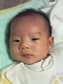 いろんな話題
