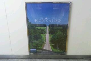 こういう景色を観るとついつい・・・