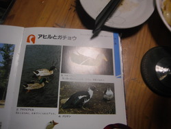難しい・・・