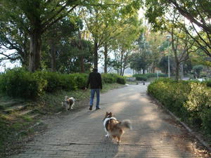 佐鳴湖公園