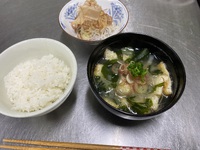 和食の基本！ 2025/04/18 23:35:33
