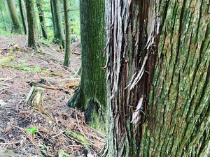 岐阜県まで。。
