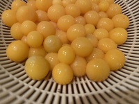 珍味を。。 2024/11/30 00:48:43