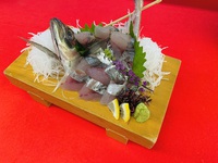 魚を2種。。 2024/10/18 00:07:18