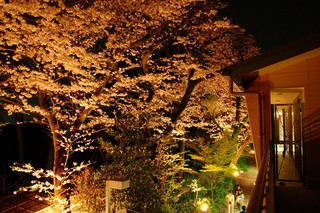 浜松青少年の家　桜（夜、昼）
