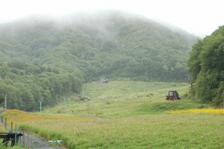 夏と冬
