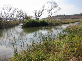 佐鳴湖　一周