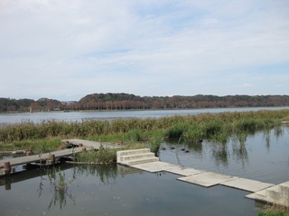 佐鳴湖　一周