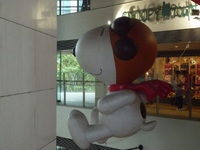 かわいいけど、大人？ 2012/10/03 10:19:43