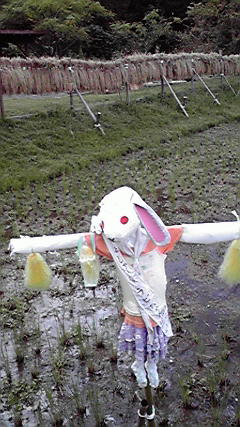 雨の午後はコーヒー