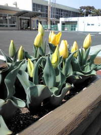 それだけじゃないよねって思うこと　　その3 2013/04/08 22:05:53