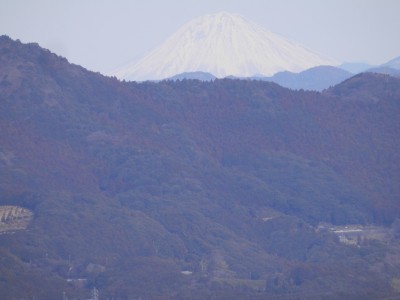 二三月峠からの富士