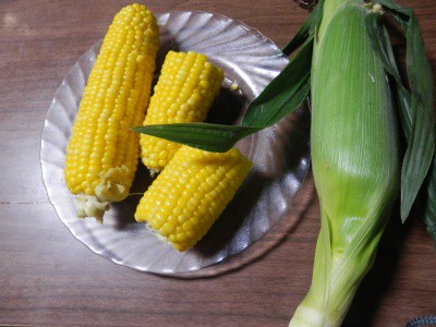 朝採りのとうもろこし