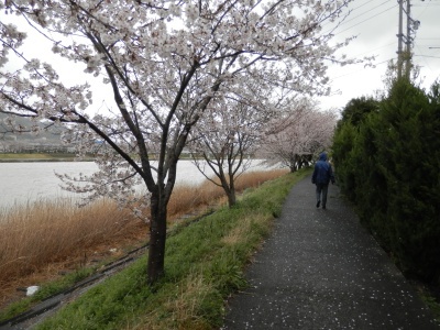 雨の都田堤