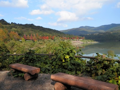 いなさ湖