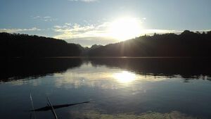 １１月１７日（日）引佐湖野鳥保護の大会