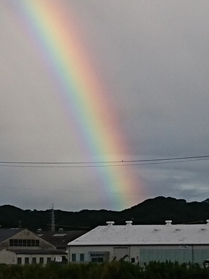 毎日空を眺めていると不思議な現象ばかりの現在 本日は眺めていて良かったと思える綺麗な 虹が出来始めてから消えるまで レースがすき バイクがすき 車がすき だから浜松がすき