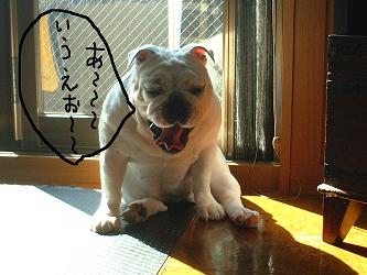 本日は。。。