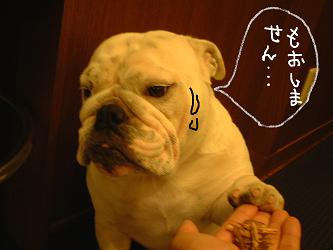 早いもので。