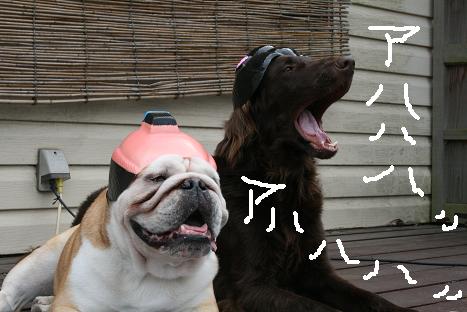 笑っちゃうような・・・