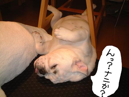 毎日毎日・・・
