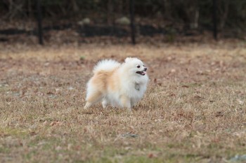 小は大より・・・