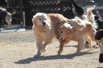 小は大より・・・