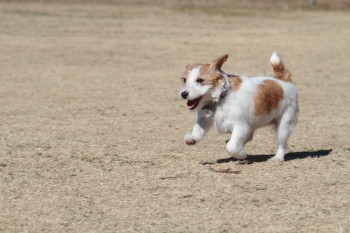 小は大より・・・