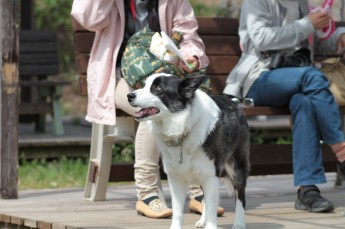ハナセヨ・・・