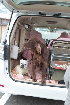 本日は。