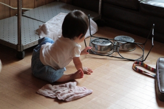 明日は。
