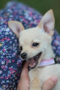 残念。 2013/08/07 22:32:11