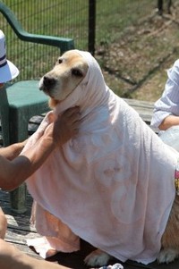 んん。。？ 2013/08/15 10:50:48