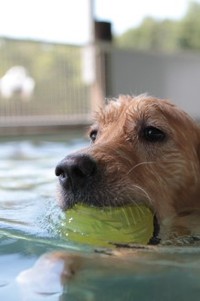 スイスイ～♪ 2013/08/26 11:04:47