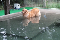 逆さゴル♪ 2013/08/27 11:03:14