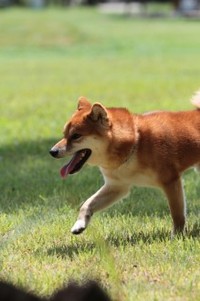 晴れた♪ 2013/08/31 12:07:43