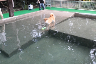 まだ暑い♪