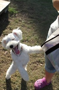 またまたご冗談を・・（汗） 2013/10/06 10:23:35