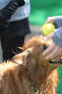 目・キラッキラ♪ 2013/10/17 23:21:37
