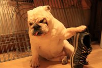 本日は。 2013/08/07 10:47:53