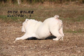 出来るかな？
