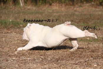 出来るかな？