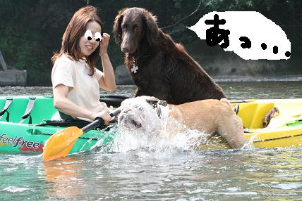 五年前。。