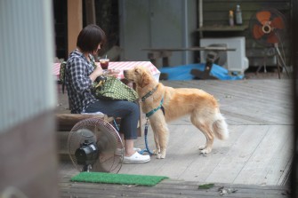 くわええてるのは？