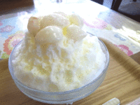 果報（カフー）　
