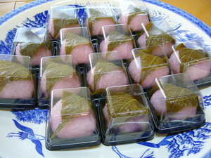 春の生菓子！勢揃い♪