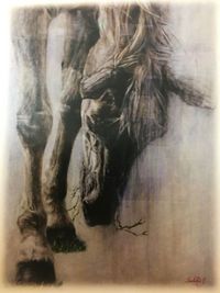 【展覧会のお知らせ】Sachiko Iketani Exhibition 2019/06/24 11:31:31