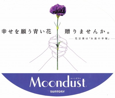 紫カーネーション「ムーンダスト」入荷です！