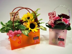 YAHOO！JAPANニュースに掲載！～バッグインツイン～